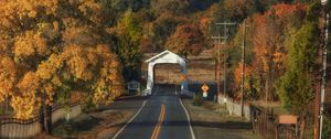 Preview wallpaper road, arch, forest, autumn
