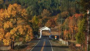 Preview wallpaper road, arch, forest, autumn