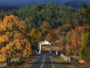 Preview wallpaper road, arch, forest, autumn