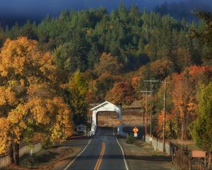 Preview wallpaper road, arch, forest, autumn