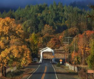 Preview wallpaper road, arch, forest, autumn