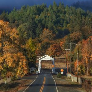 Preview wallpaper road, arch, forest, autumn