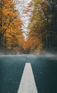 Preview wallpaper road, asphalt, autumn, marking