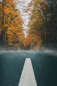 Preview wallpaper road, asphalt, autumn, marking