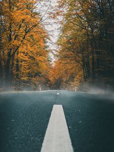 Preview wallpaper road, asphalt, autumn, marking