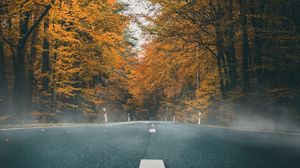 Preview wallpaper road, asphalt, autumn, marking