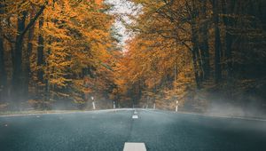 Preview wallpaper road, asphalt, autumn, marking