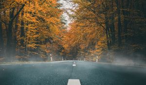 Preview wallpaper road, asphalt, autumn, marking