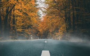 Preview wallpaper road, asphalt, autumn, marking