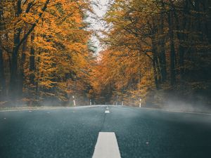 Preview wallpaper road, asphalt, autumn, marking