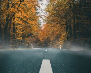 Preview wallpaper road, asphalt, autumn, marking