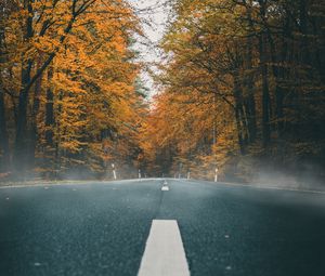 Preview wallpaper road, asphalt, autumn, marking