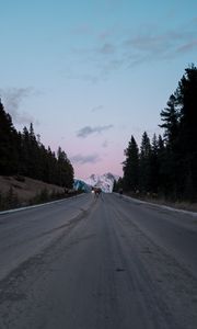 Preview wallpaper road, asphalt, deer, nature, dusk