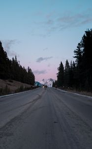 Preview wallpaper road, asphalt, deer, nature, dusk