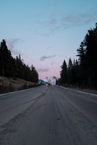 Preview wallpaper road, asphalt, deer, nature, dusk