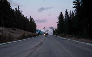 Preview wallpaper road, asphalt, deer, nature, dusk