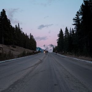 Preview wallpaper road, asphalt, deer, nature, dusk