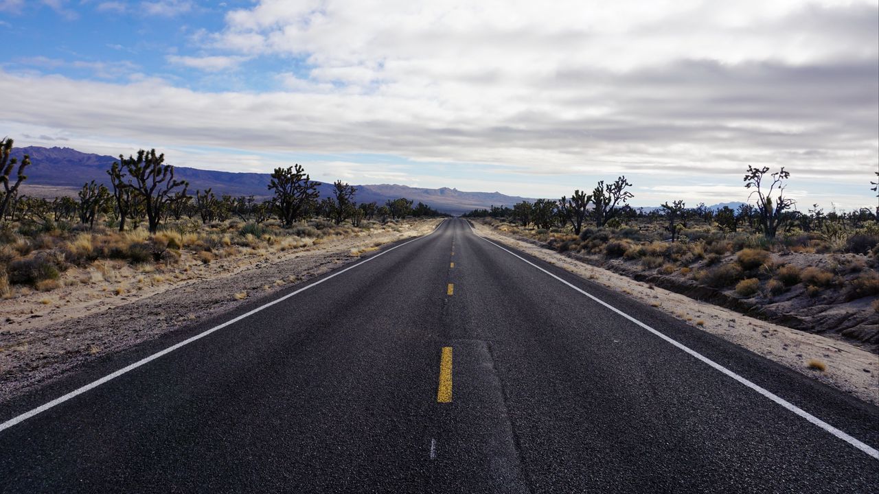 Wallpaper road, asphalt, desert, marking, horizon