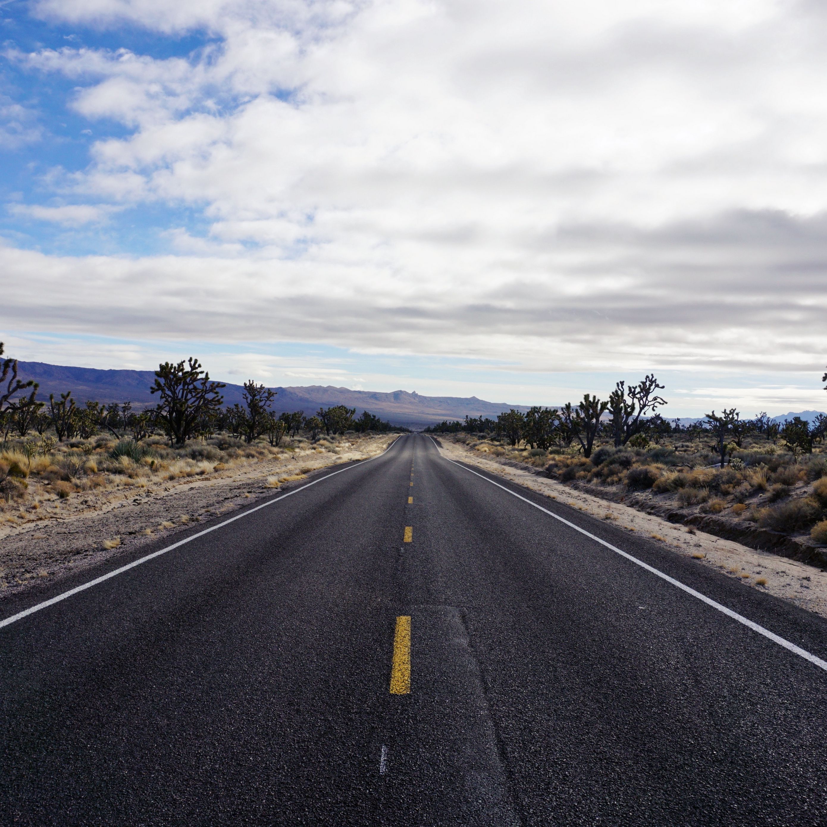 download-wallpaper-2780x2780-road-asphalt-desert-marking-horizon