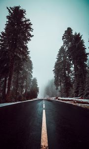 Preview wallpaper road, asphalt, fog, trees, markings, sky