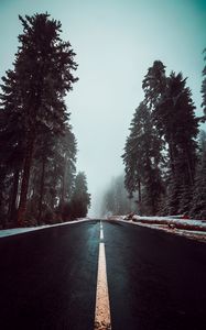 Preview wallpaper road, asphalt, fog, trees, markings, sky