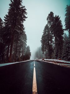 Preview wallpaper road, asphalt, fog, trees, markings, sky