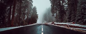 Preview wallpaper road, asphalt, fog, trees, markings, sky