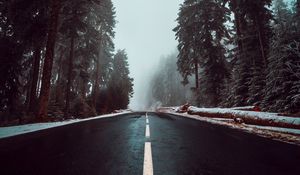 Preview wallpaper road, asphalt, fog, trees, markings, sky