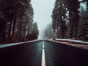 Preview wallpaper road, asphalt, fog, trees, markings, sky