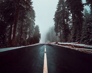 Preview wallpaper road, asphalt, fog, trees, markings, sky