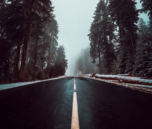 Preview wallpaper road, asphalt, fog, trees, markings, sky