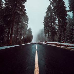 Preview wallpaper road, asphalt, fog, trees, markings, sky