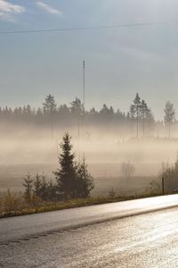 Preview wallpaper road, asphalt, fog, morning, freshness, shine, trees, wires