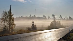 Preview wallpaper road, asphalt, fog, morning, freshness, shine, trees, wires