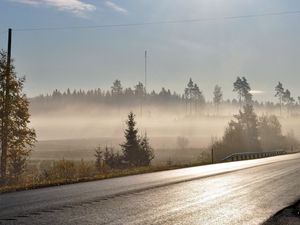 Preview wallpaper road, asphalt, fog, morning, freshness, shine, trees, wires