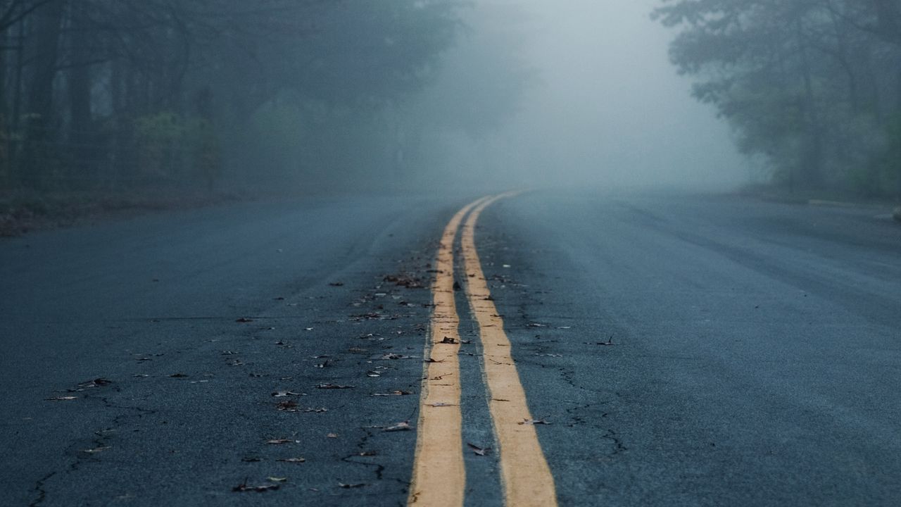Wallpaper road, asphalt, fog, trees