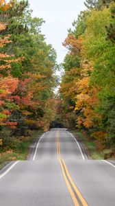 Preview wallpaper road, asphalt, forest, autumn, trees, nature
