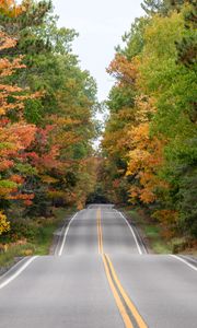 Preview wallpaper road, asphalt, forest, autumn, trees, nature