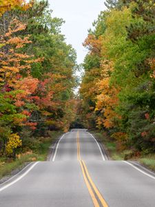 Preview wallpaper road, asphalt, forest, autumn, trees, nature