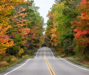 Preview wallpaper road, asphalt, forest, autumn, trees, nature