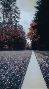 Preview wallpaper road, asphalt, forest, trees, sky