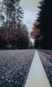 Preview wallpaper road, asphalt, forest, trees, sky