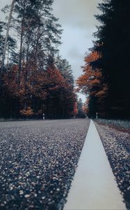 Preview wallpaper road, asphalt, forest, trees, sky