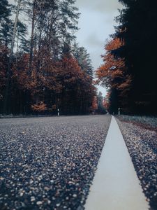 Preview wallpaper road, asphalt, forest, trees, sky