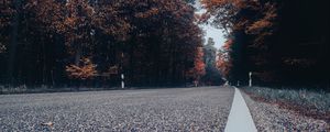 Preview wallpaper road, asphalt, forest, trees, sky