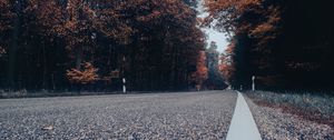 Preview wallpaper road, asphalt, forest, trees, sky