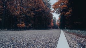 Preview wallpaper road, asphalt, forest, trees, sky