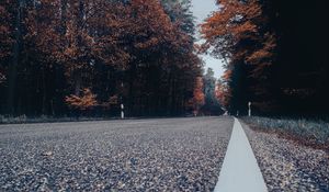 Preview wallpaper road, asphalt, forest, trees, sky