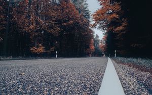 Preview wallpaper road, asphalt, forest, trees, sky