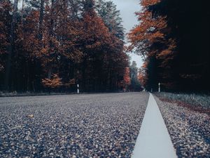 Preview wallpaper road, asphalt, forest, trees, sky